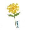 Фото профиля clavis 劉嘉花 𖤐 koonjae