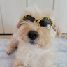 まろん profil fotoğrafı