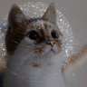ПРЕНЦЕССА profil fotoğrafı