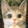 いんぷりむ's profile picture