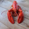 Profilbild von Deeper Lobster