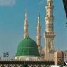 Shaista Bukhari's profile picture