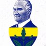 serkan.kılıç💛💙's profile picture