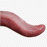 La lengua de Belisario profil fotoğrafı