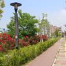 wanggun80 的头像