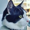 eminergizler profil fotoğrafı