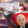 Absurdy wyborców PiS 的头像