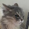 Profilbild von Ayresia