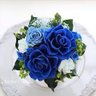 blue-rose 的头像
