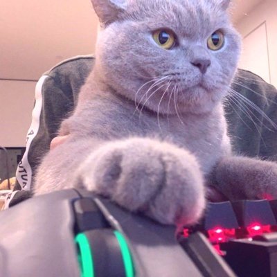 cocnut hater's profile picture