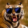 Фото профиля Irish Tiger
