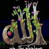 شروق الفجر 的头像