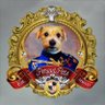 Period Pets's profile picture