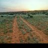 Фото профиля نقاء المطوع