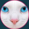 ⛄️しろにゃ😈's profile picture