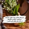 kamal ebrahem 的头像