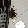 生物部活動報告 的头像