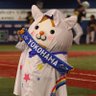 きいこ 的头像