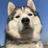 Profilbild von jhon.smish