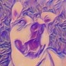 Bowtiedtreedog's profile picture