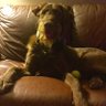 Beck S's profile picture