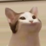 ConnorCats profil fotoğrafı