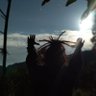 SiAceng's profile picture
