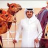 Huda Al-Mohannadi 的头像