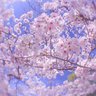 めえ profil fotoğrafı