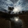 عبد ۛالمحسن💙 的头像