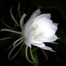 Фото профиля joe_fms