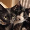 Keiko.N profil fotoğrafı
