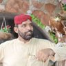 Mahar Sadiq's profile picture