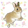 Profilbild von cocoa