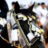 الكاسر الزياني's profile picture