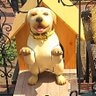 Profilbild von ふー☆
