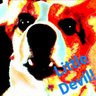 Profilbild von Beagle