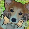 五劫のすりきれ's profile picture