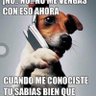 Perro 的头像