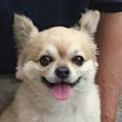 R3P9td's profile picture