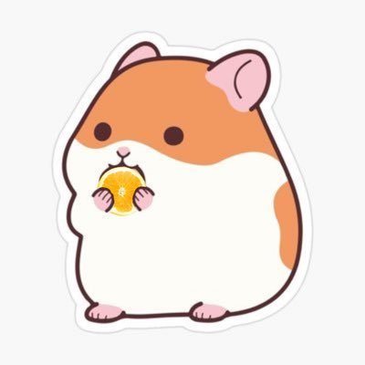 hoodz ◡̎'s profile picture