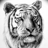 @Calif12_ profil fotoğrafı