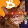 Profilbild von Marcus