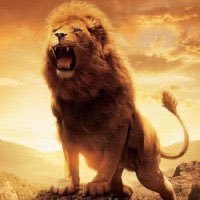 SALMAN KI SENA™'s profile picture