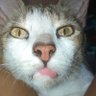 Profilbild von Gracious Lady