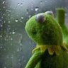 David profil fotoğrafı