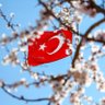 Doğukan YILDIZHAN 的头像