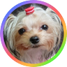 Profilbild von 紫苑