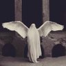 Фото профиля مهشيد🕊