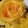 Profilbild von ..💛